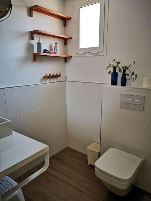 Comfortable & Appartamento